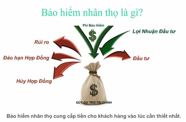 Xử lý chi phí mua bảo hiểm nhân thọ cho nhân viên