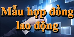 Mẫu hợp đồng lao động mới nhất