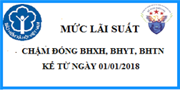 Cách tính lãi chậm nộp BHXH - BHYT - BHTN2018